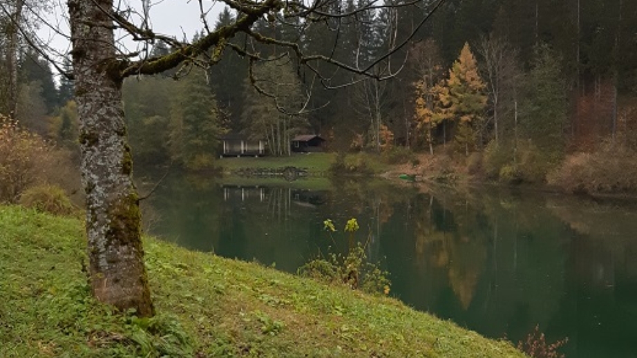 Obermaiselstein 2019 (11)
